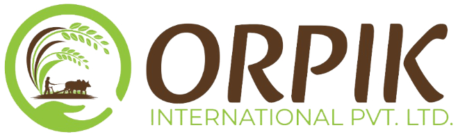 Orpik Logo